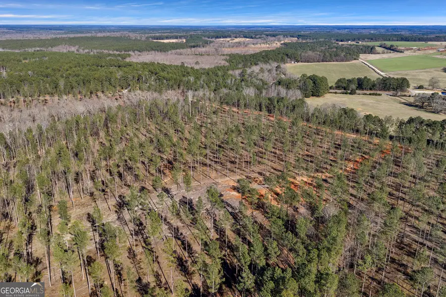 LEXINGTON Estates, Lexington, GA 30648 - #3