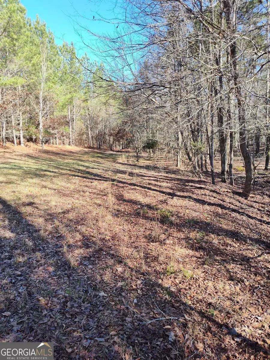 0 Old Ferry Road, Elberton, GA 30635 - #3