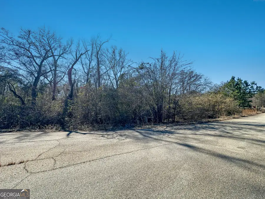 317 Hawk Court, Macon, GA 31216 - #2