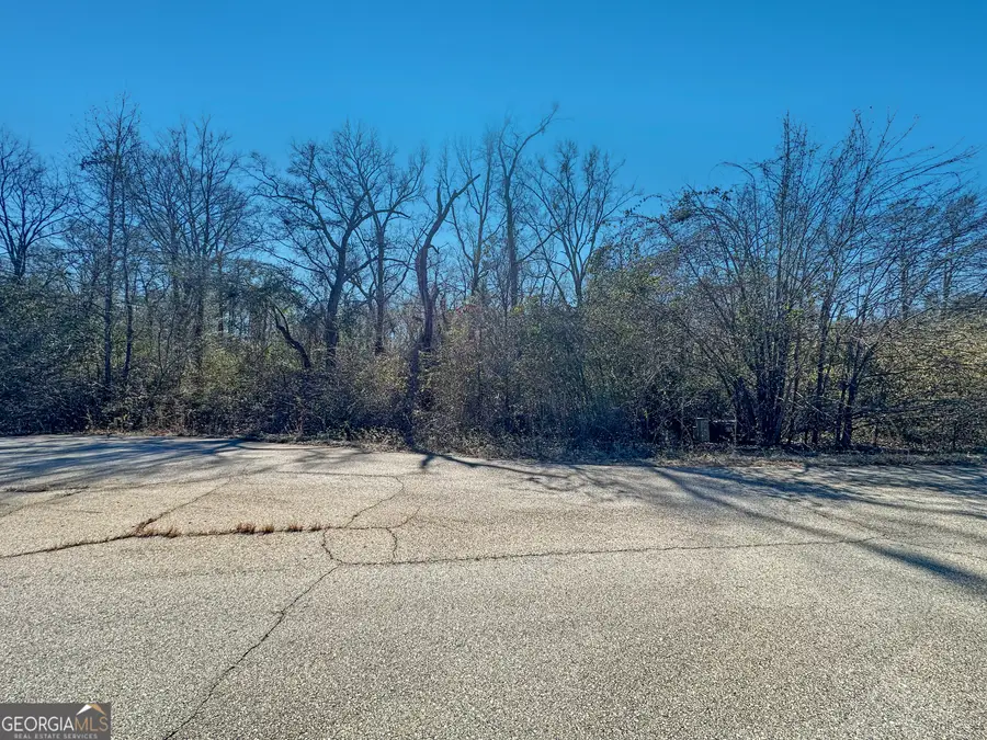 317 Hawk Court, Macon, GA 31216 - #3