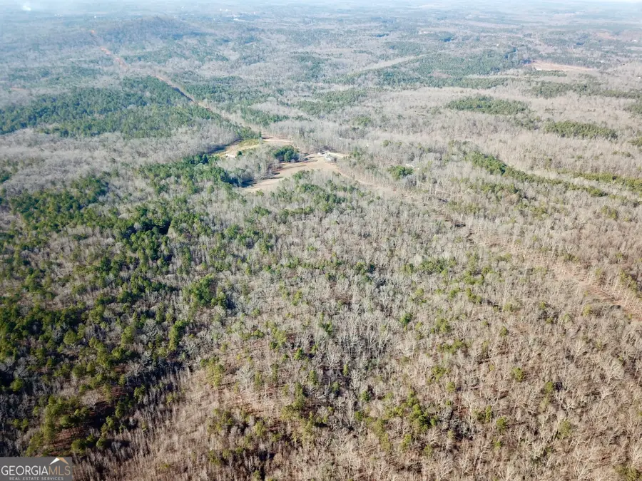 0 Budapest Spur, Tallapoosa, GA 30176 - #3