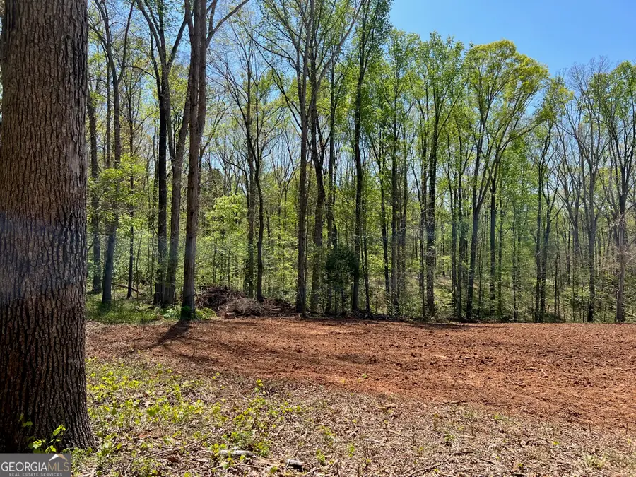 344 Hidden Valley Drive, Alto, GA 30510 - #2