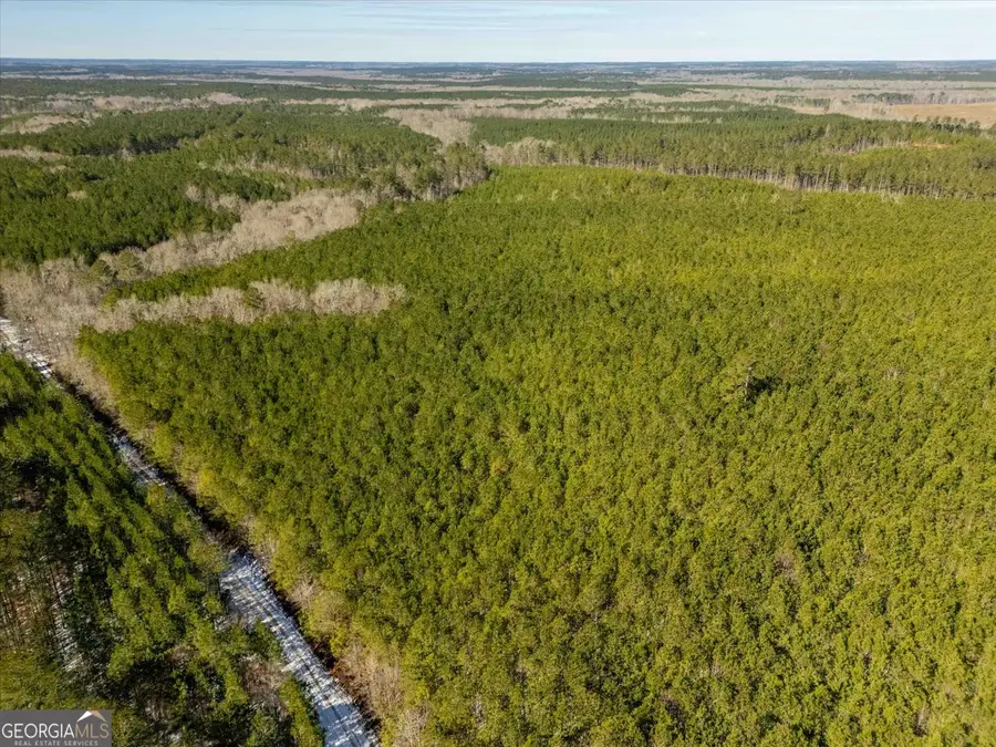 0 Callaway & Hollis Norman Road, Washington, GA 30673 - #3