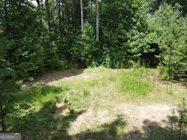 LOT 4 Scouts Overlook Lane, Morganton, GA 30560