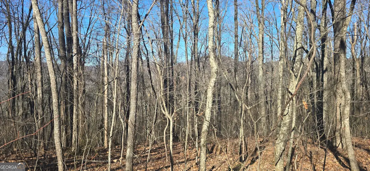 00001 Big Oak Drive, Jasper, GA 30143 - #1