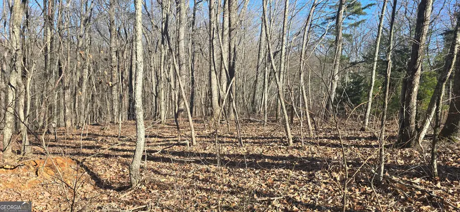 00001 Big Oak Drive, Jasper, GA 30143 - #3