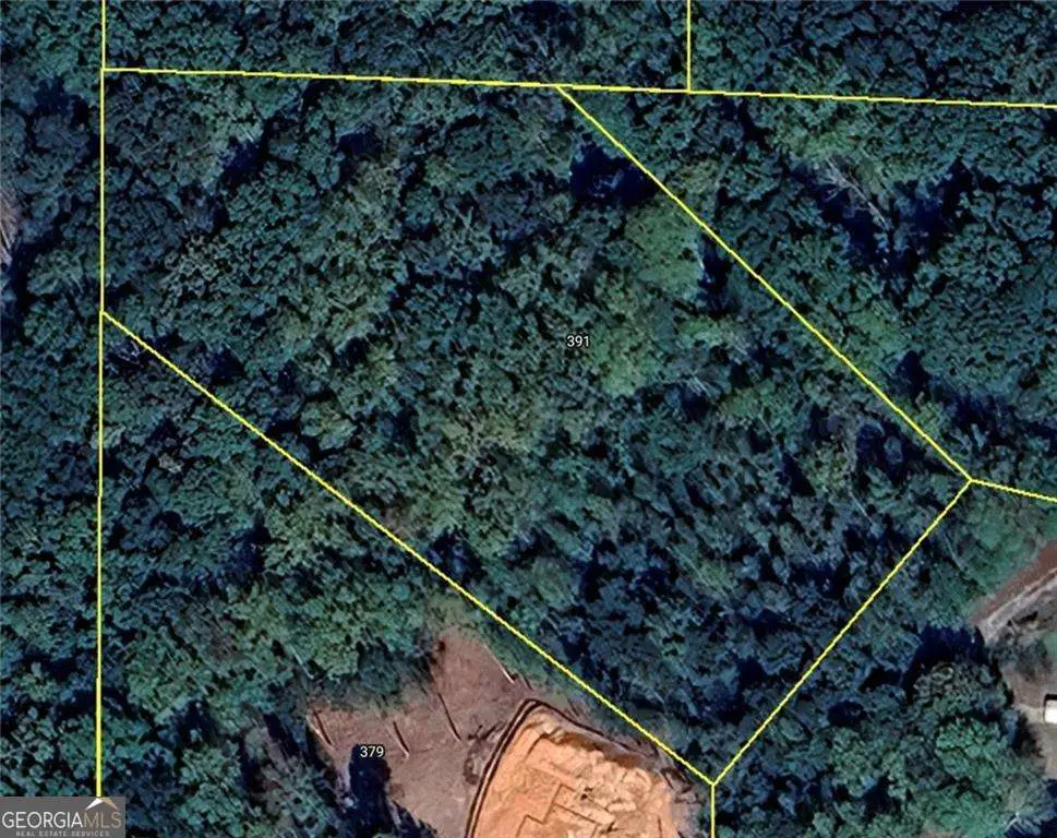 391 Marvin Land Lane, Canton, GA 30115 - #1