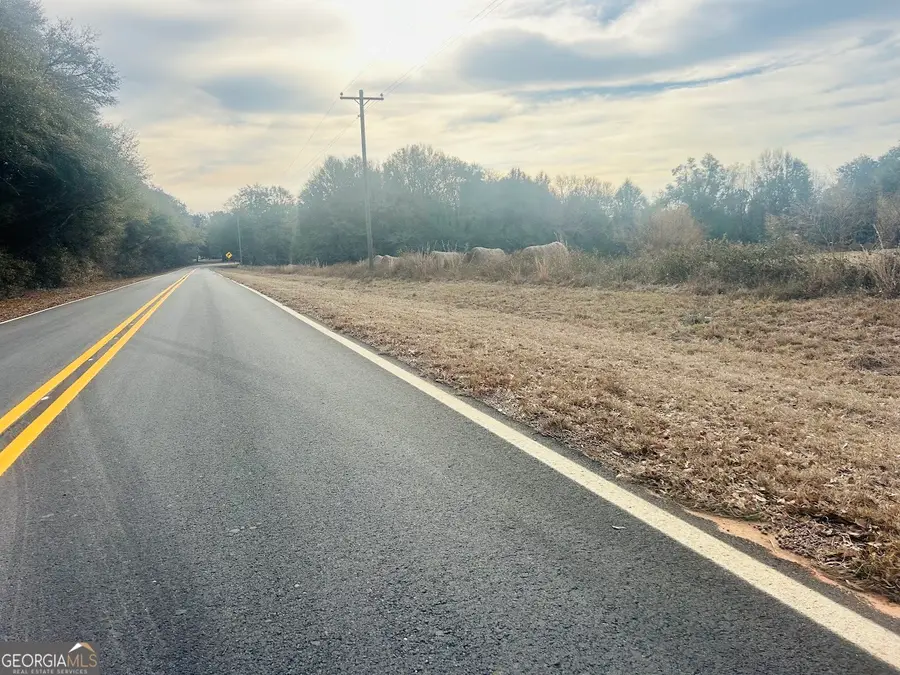 0 Fouche Road #LOT 2B & 2C, Buena Vista, GA 31803 - #3