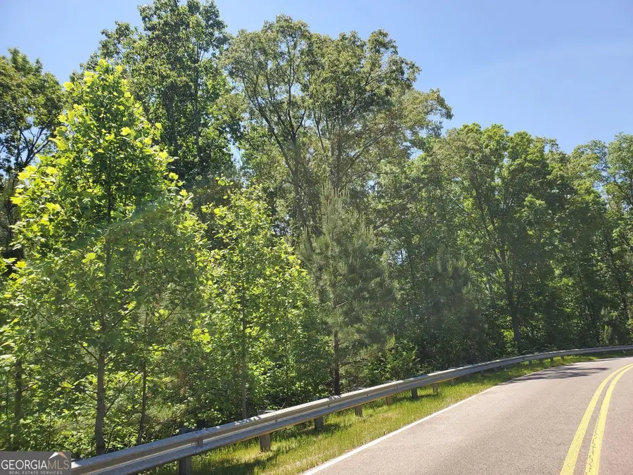 4543 Ball Ground Road, Ball Ground, GA 30107 - #3