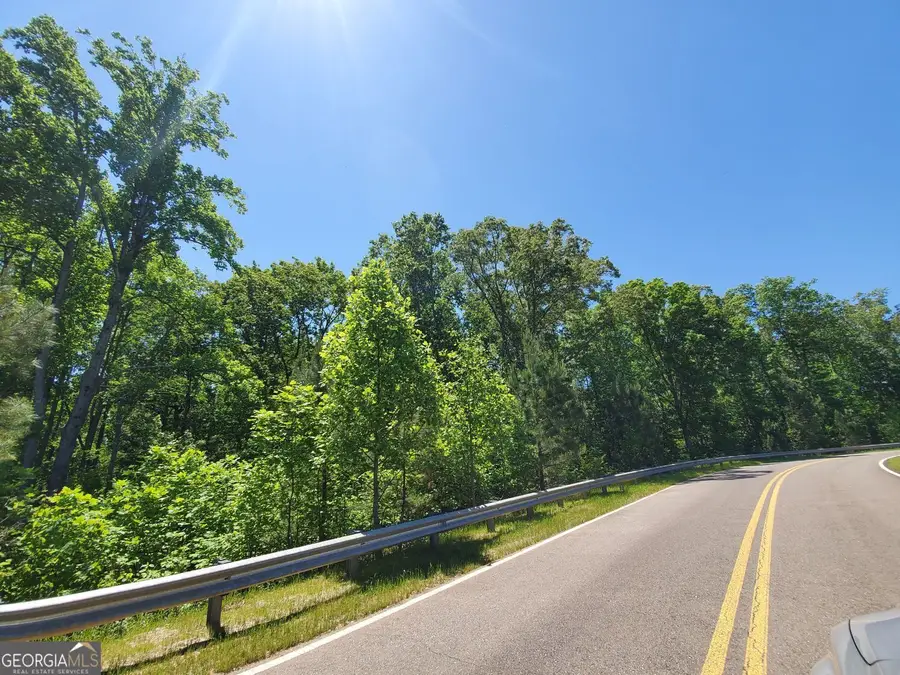 110 Hogan Pond Lane Lane, Ball Ground, GA 30107 - #3
