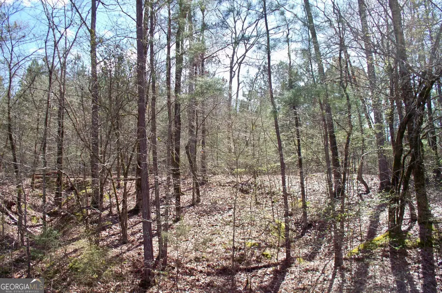 1360 Northwoods Drive, Greensboro, GA 30642 - #2