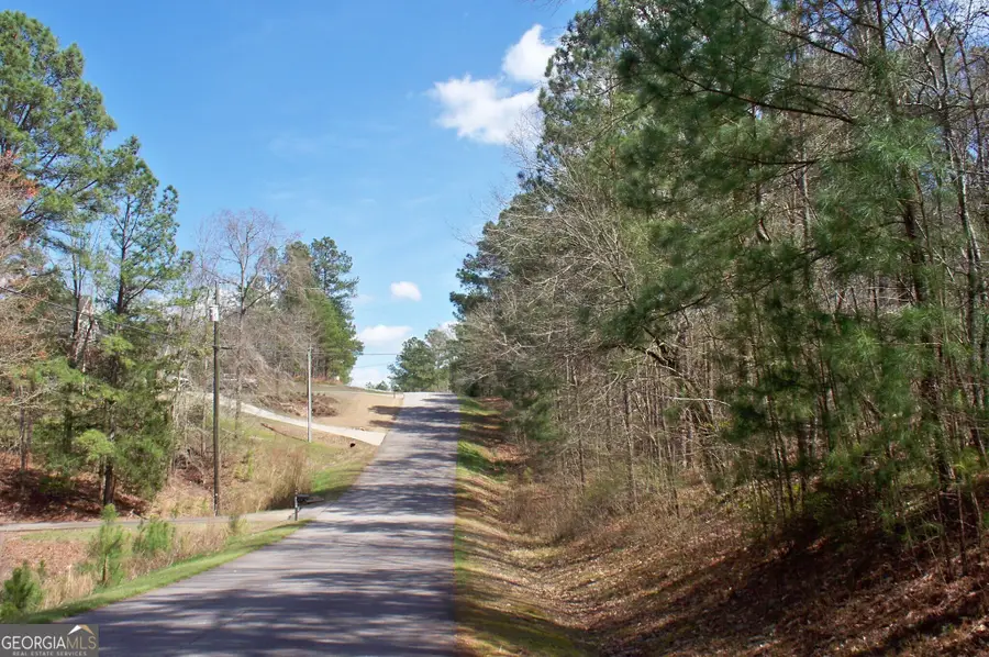 1360 Northwoods Drive, Greensboro, GA 30642 - #3