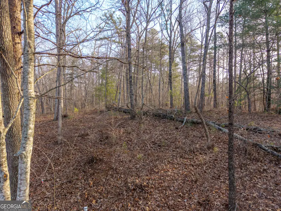 LOT 186 Harris Ridge Lane, Ellijay, GA 30540 - #3