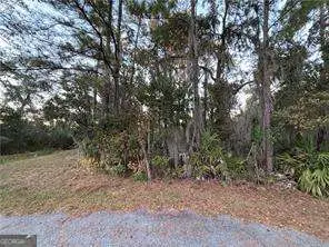 147 Picket Run, Brunswick, GA 31520 - #1