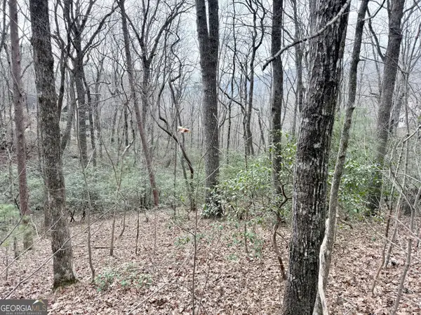 0 Monarch Lane, Clayton, GA 30525