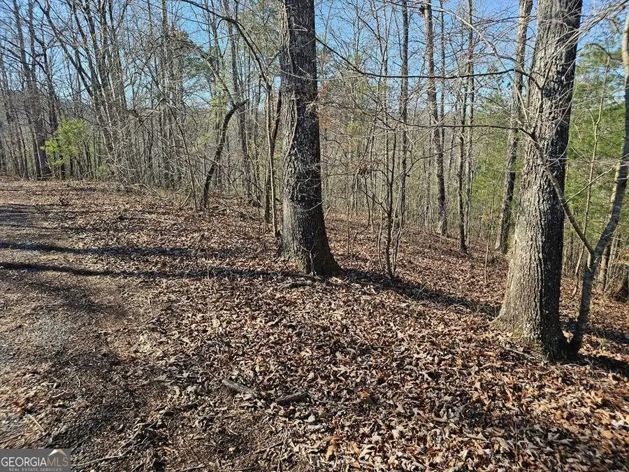 1.16 Marie Drive #1802B, Talking Rock, GA 30175 - #3