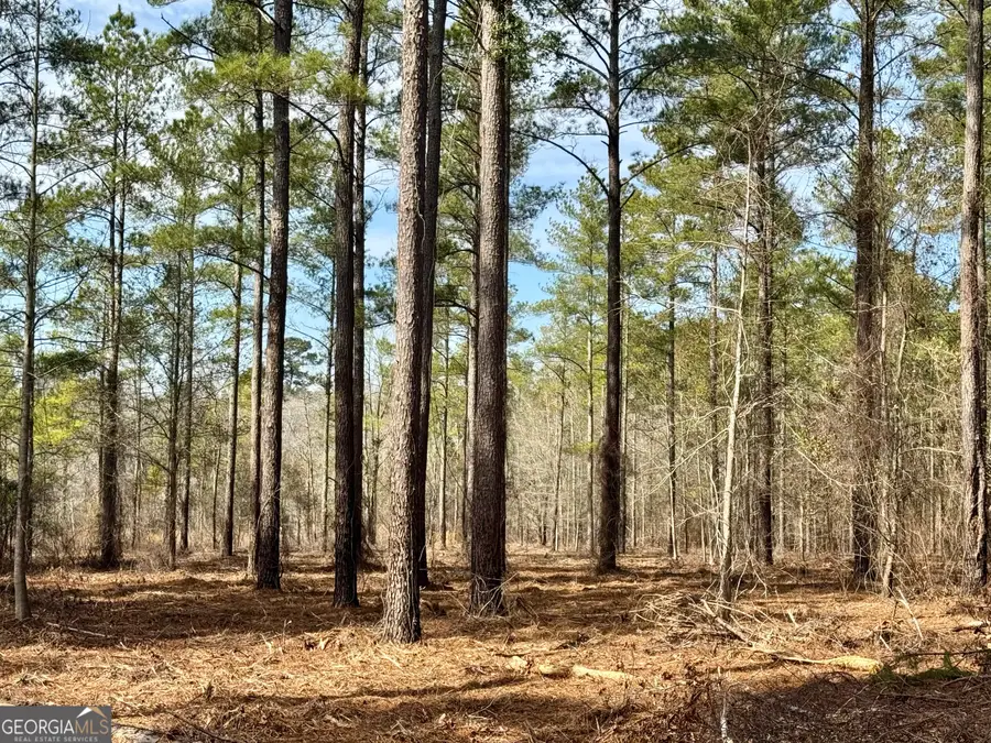 0 Mosley Bridge Road, Claxton, GA 30417 - #3