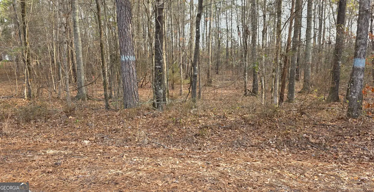 0 Lee Rd 143, Salem, AL 36874 - Image #1