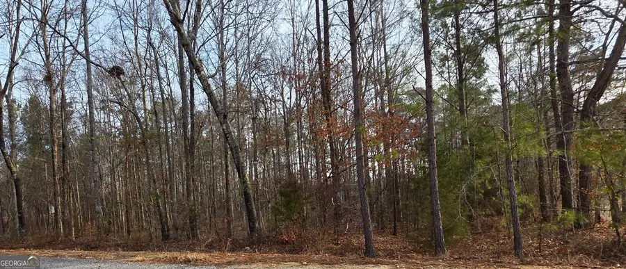 0 Lee Rd 143, Salem, AL 36874 - Image #2