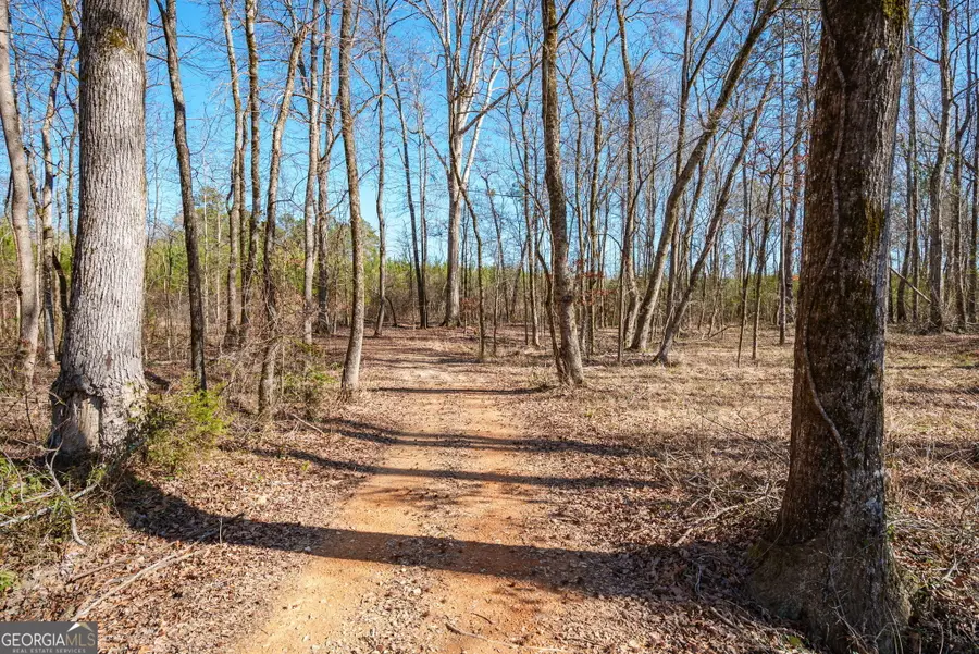 0 Warren Road, White Plains, GA 30678 - #2