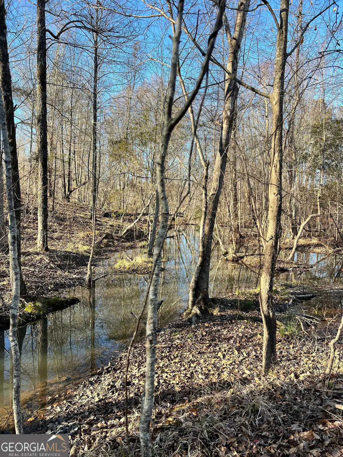 0 Crawfordville Road, White Plains, GA 30678 - #1