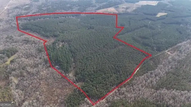 198 Culverton Church Road, Sparta, GA 31087 - #1