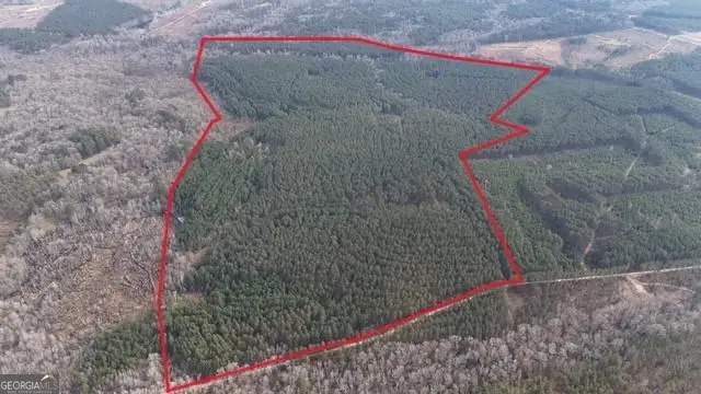 198 Culverton Church Road, Sparta, GA 31087 - #2