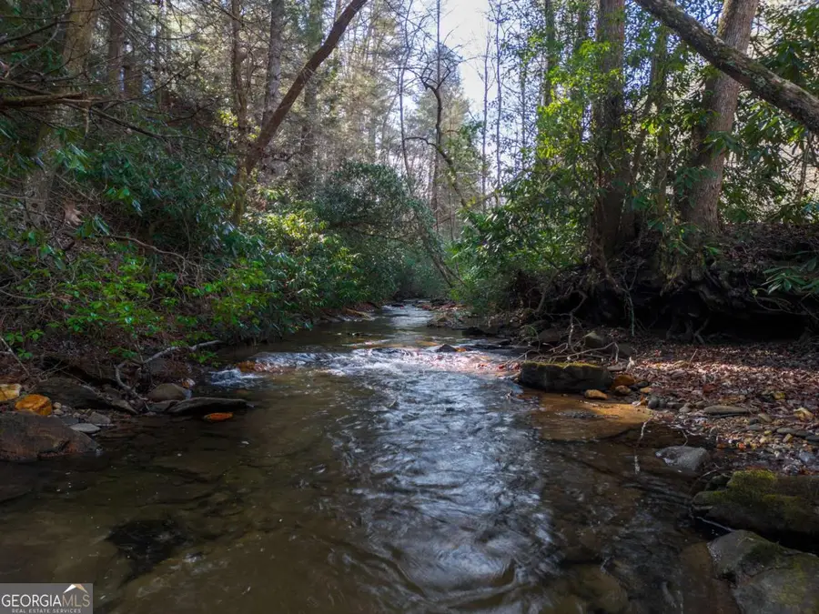 100 Stanley Creek Crossing, Blue Ridge, GA 30513 - #3