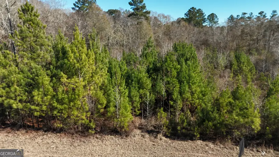 60 Anderson Road, Claxton, GA 30417 - #2