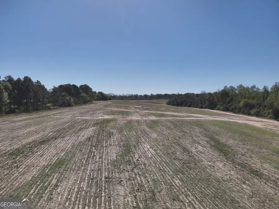 0 Old Pelham Road, Pelham, GA 31779 - #3