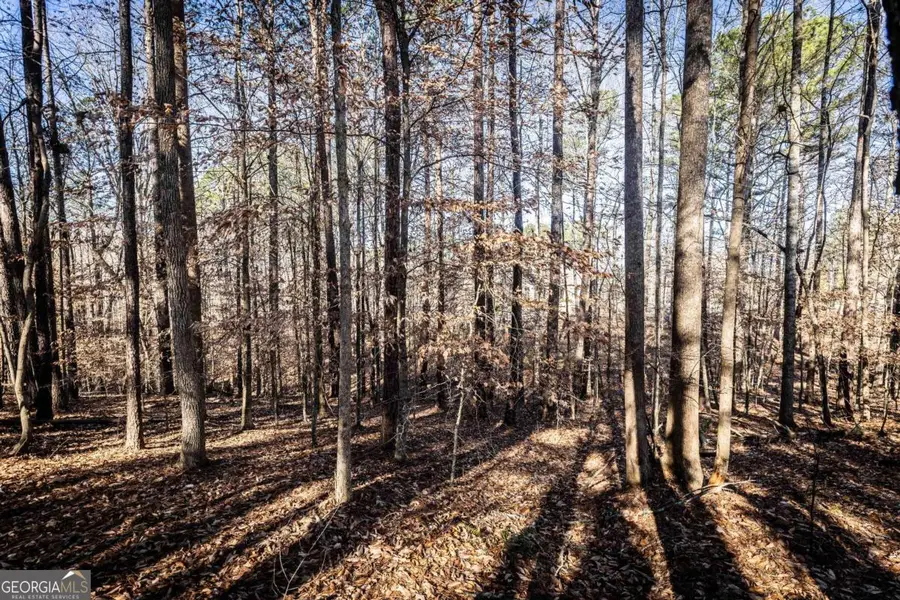 1001 Overlook Terrace, Ball Ground, GA 30107 - #2