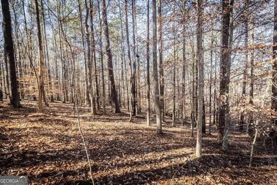 1001 Overlook Terrace, Ball Ground, GA 30107 - #3