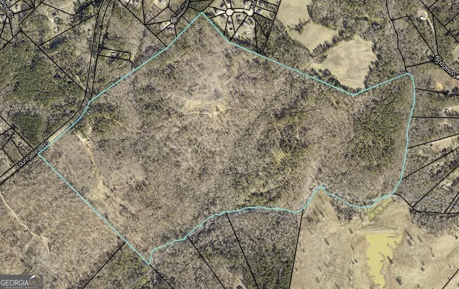 4427 County Line Road #206.61 ACRES, Mansfield, GA 30055 - #3