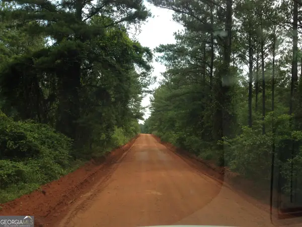 0 Devoe Road, Andersonville, GA 31711