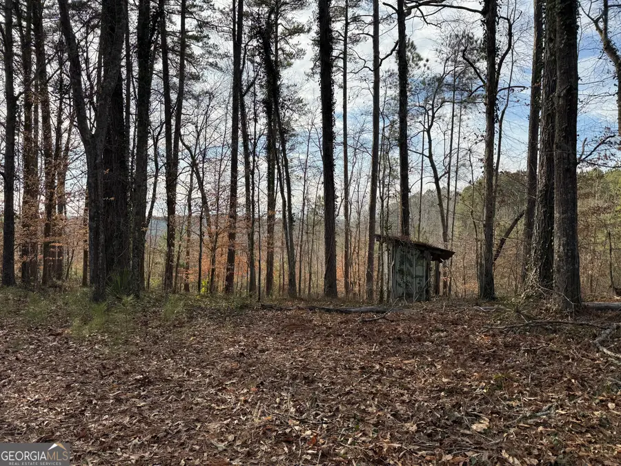 0 Old Georgia Road, Heflin, AL 36264 - #2
