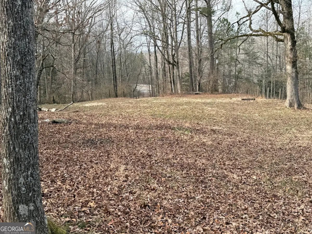 4445 Talking Rock Road, Talking Rock, GA 30175 - #1