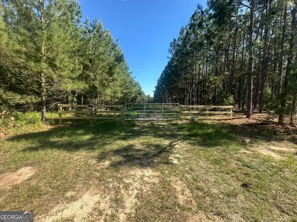 355 Dorsey Clark Road, Sylvania, GA 30467