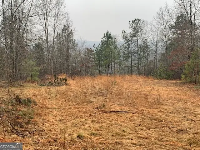 2660 Parham Town Road, Bowman, GA 30624 - #3