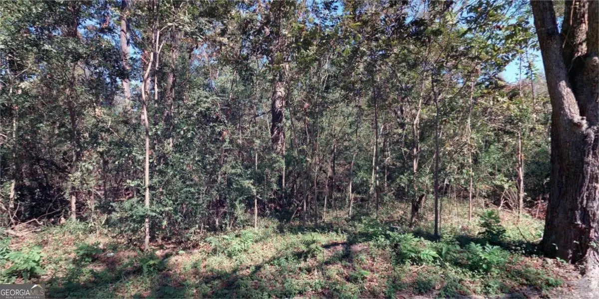 156 Darling Street, Savannah, GA 31408 - #1