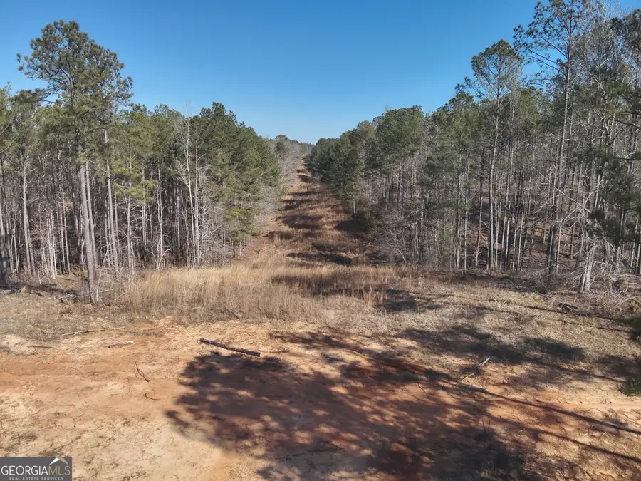 0 Highway 42, Musella, GA 31066 - #3