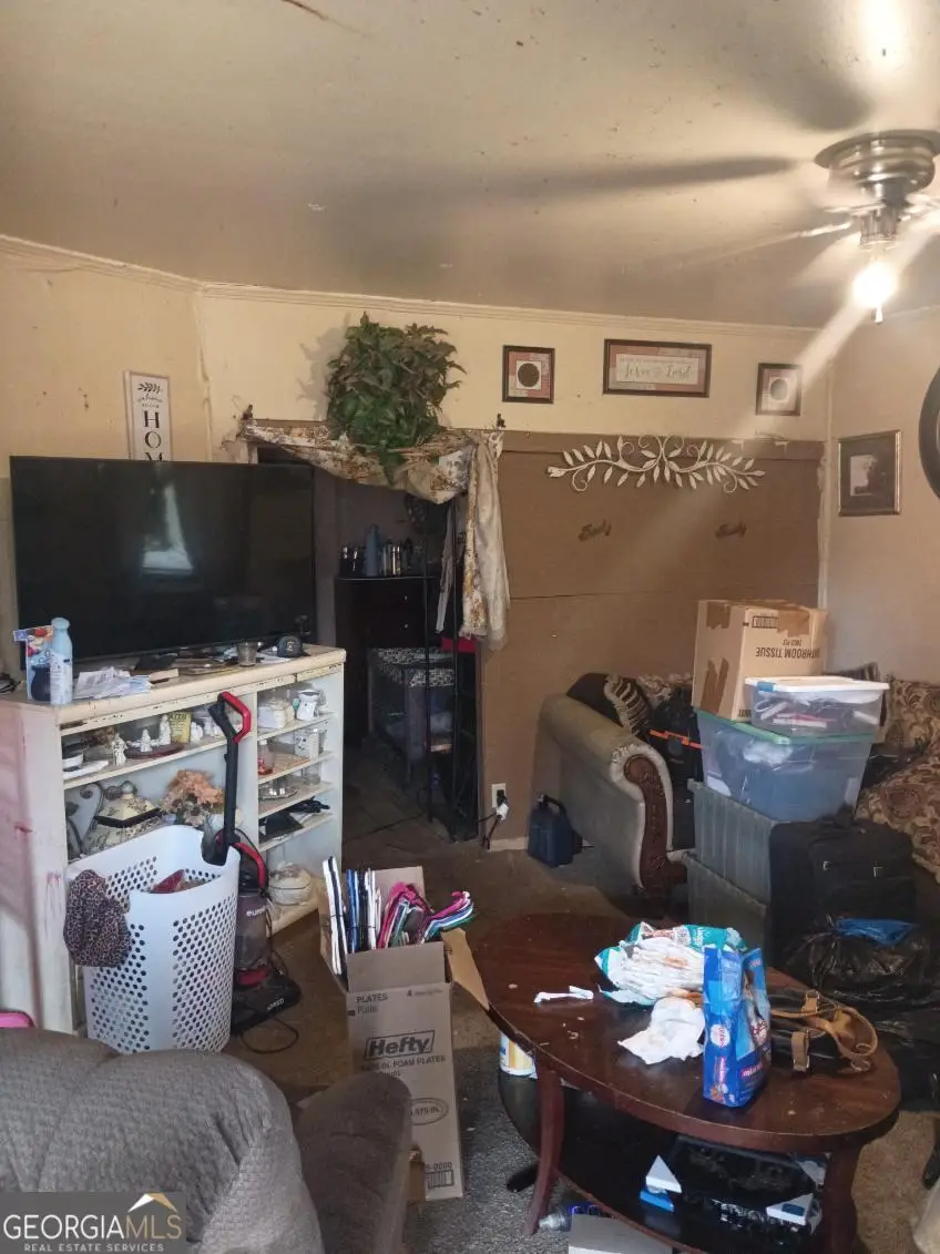 311 Flowers Drive, Blakely, GA 39823 - #2