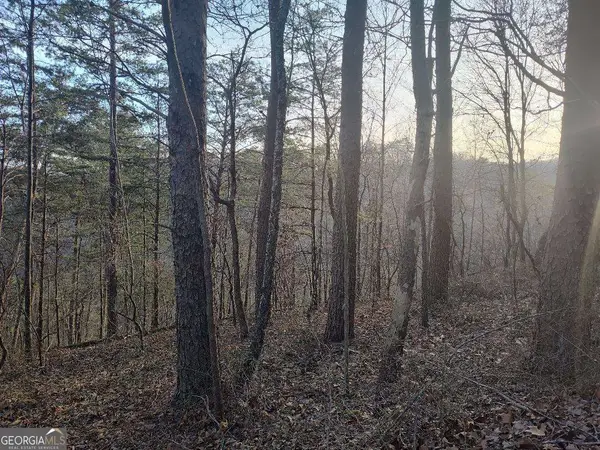 1058 Mayfield Lane, Ranger, GA 30734