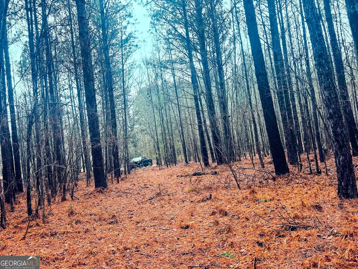 0 St. Marys Road Sw #TRACT 1A, Crawfordville, GA 30631 - #1