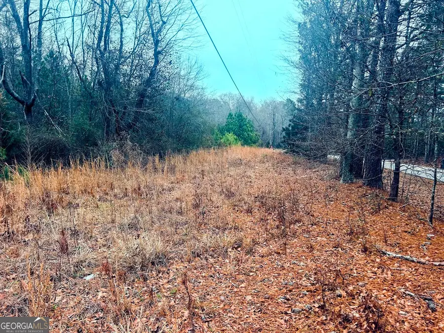 0 Sw Flat Shoals Road #LOT A, Conyers, GA 30094 - Image #2