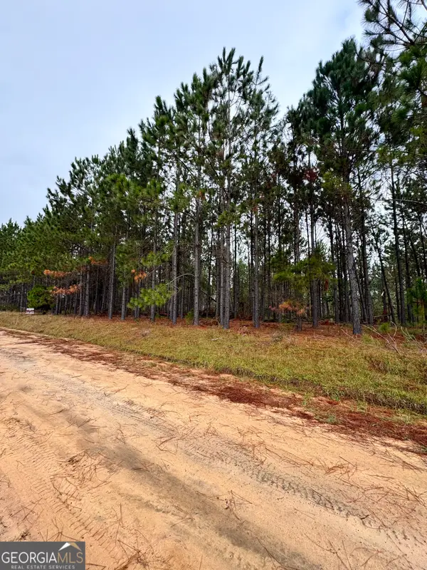 664 Mount Carmel Church Road, Alamo, GA 30411