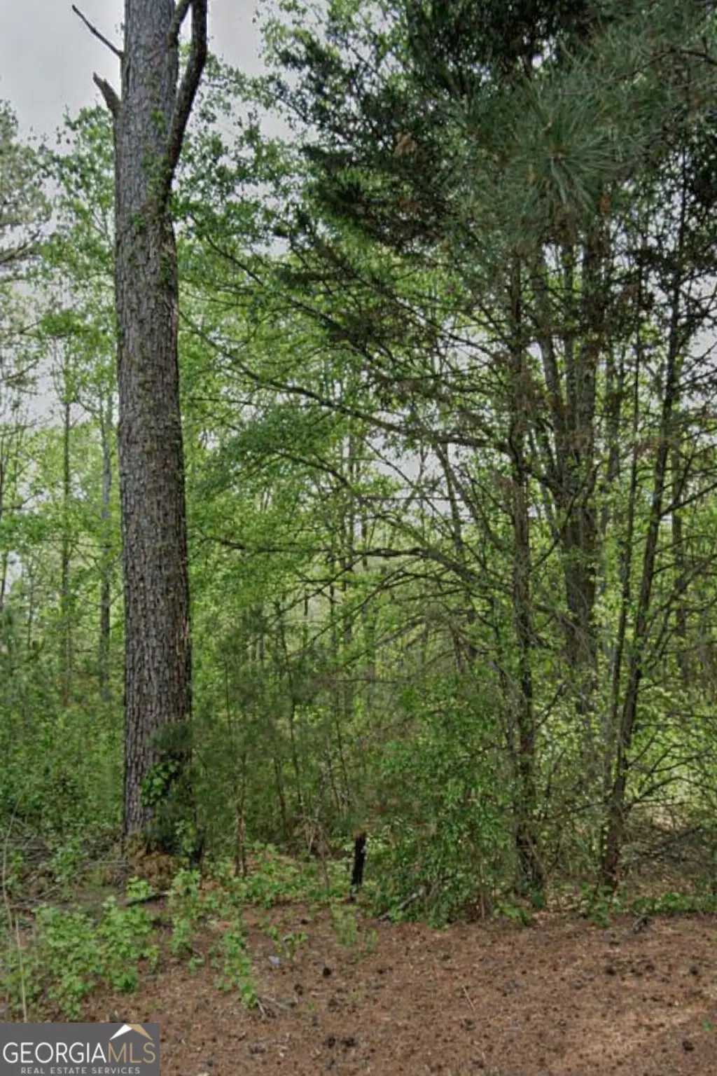 3023 Valley View Drive Sw, Powder Springs, GA 30127 - #1