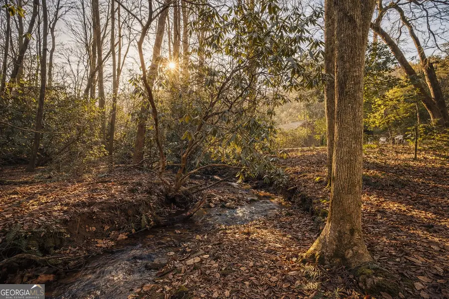 2889 Old Parker Place Rd, Ellijay, GA 30536 - #2