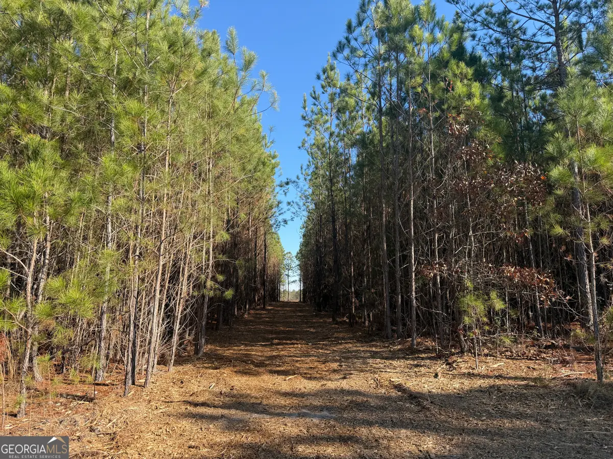 005 Cleghorn Drive, Tallassee, AL 36078 - #1