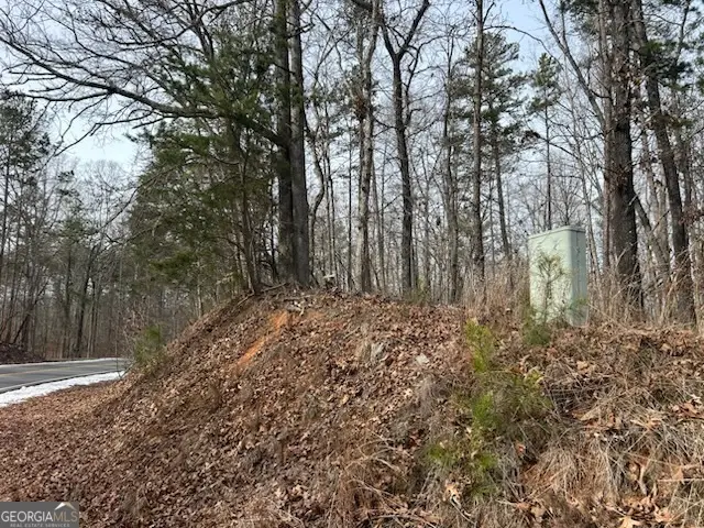 0 Holly Springs Road #TRACT 2, Toccoa, GA 30577 - #2