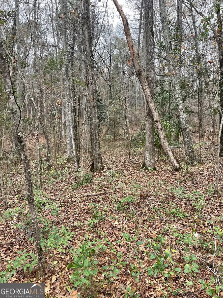 00 Hebron Church Road, Thomaston, GA 30286 - #2